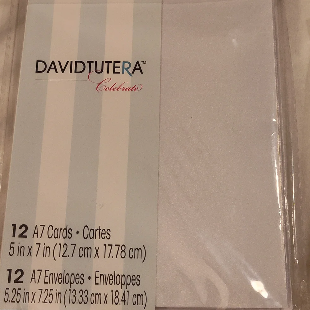 David Tutera Assorted Cardstock Pack - Multicolor